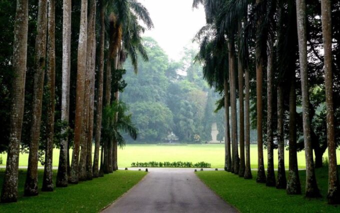 Sri Lanka Hill Country Bless Kandy, Nuwara Eliya and Ella - Exploring Kandy