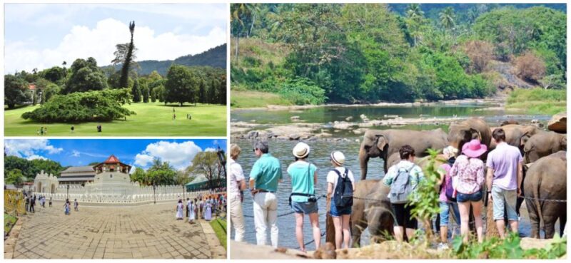 Sri Lanka Hill Country Train Trip, Kandy, Nuwara Eliya 2-Day - Itinerary Highlights