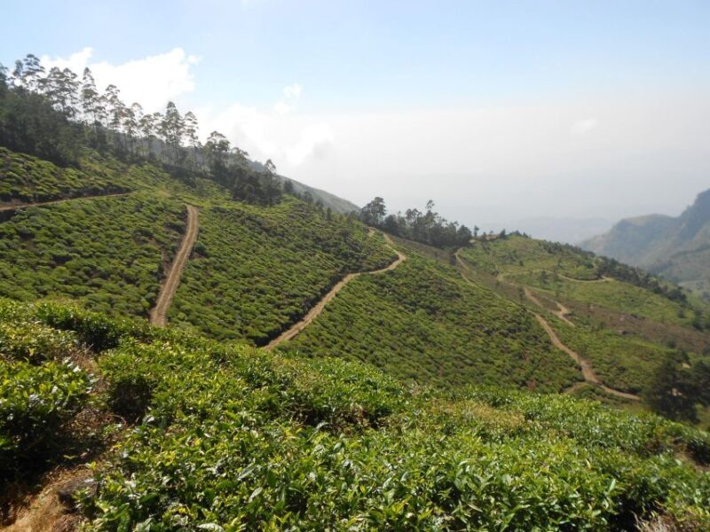 Sri Lanka Holidays With 5 Days Trekking the Pekoe Trail - Exclusions