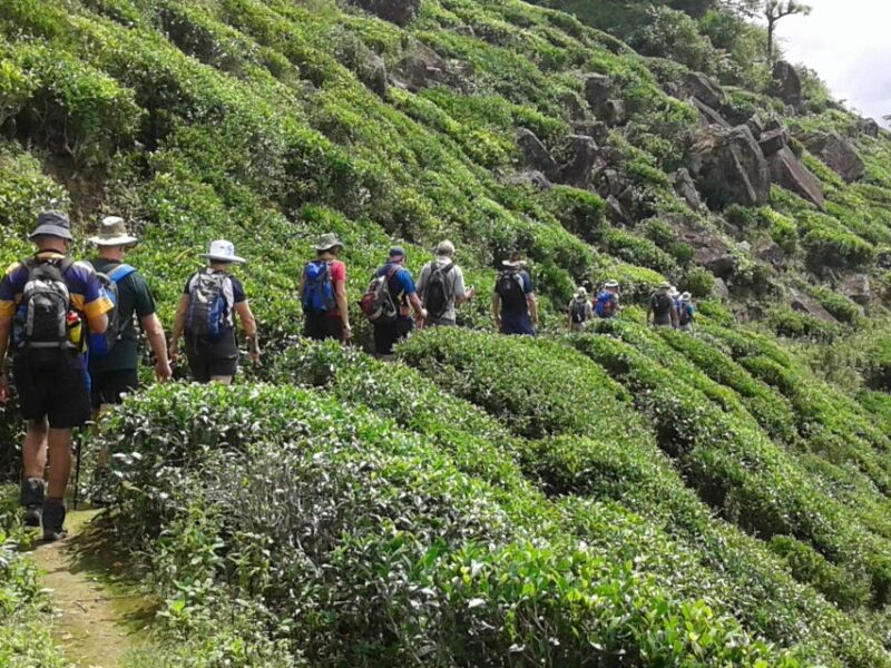 Sri Lanka Holidays With 5 Days Trekking the Pekoe Trail - Accommodation and Lodging