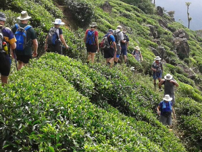 Sri Lanka Holidays With 5 Days Trekking the Pekoe Trail - Wildlife Encounters