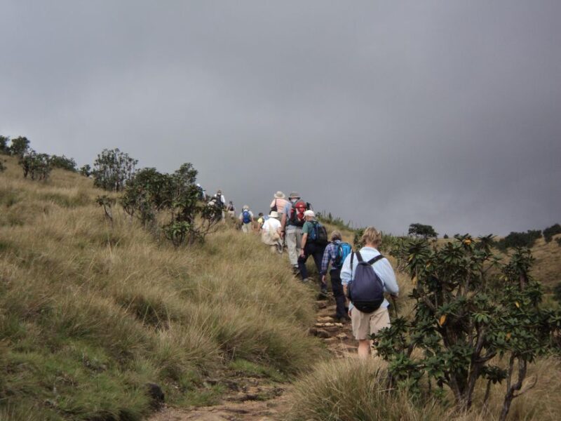 Sri Lanka Holidays With One Week Trekking the Pekoe Trail - Accommodation and Meals