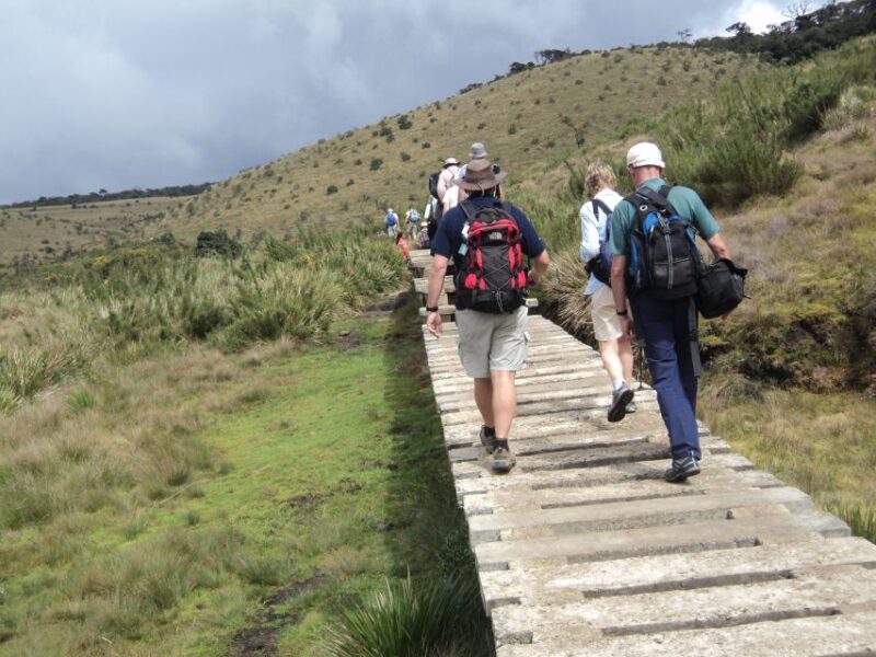 Sri Lanka Holidays With One Week Trekking the Pekoe Trail - Airport Pickup and Transport