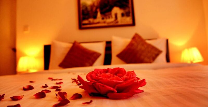 Sri Lanka: Honeymoon in Paradise Island All-Inclusive Trip - Transportation and Guides