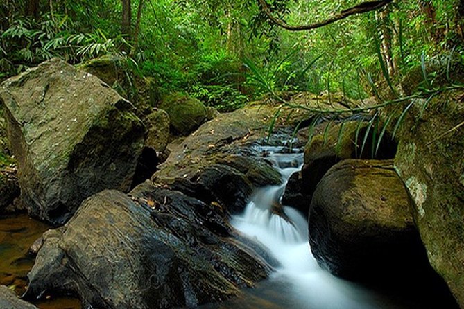 Sri Lanka Leopard Trail ( 15 N/ 16 D) - Cancellation Policy