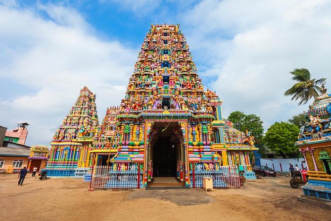 Sri Lanka North Tour - Booking and Reviews
