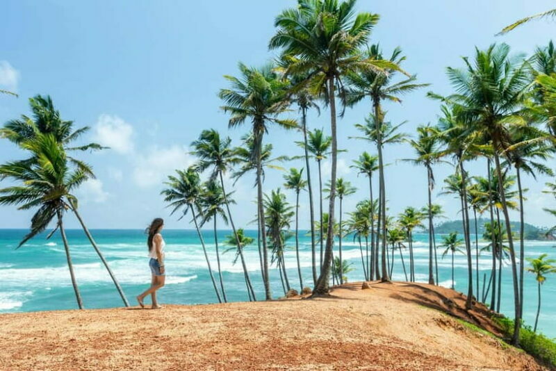 Sri Lanka Private 10-Day Round Tour Car, Guide, Hotels, Food - Ancient Cities and Cultural Insights