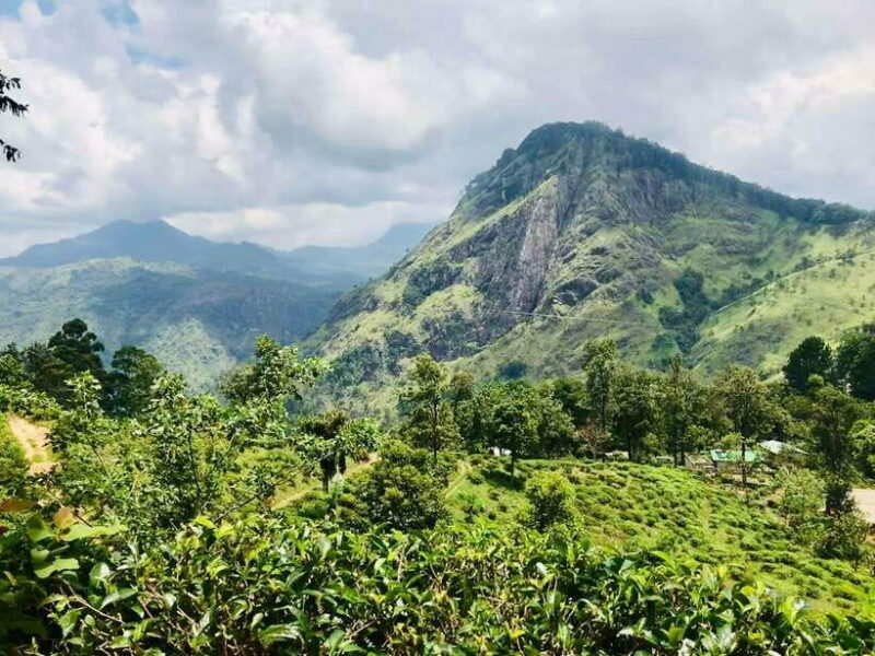 Sri Lanka Private 3-nights Tour Transport, Guide, Hotels - What the Tour Includes and What It Doesn’t