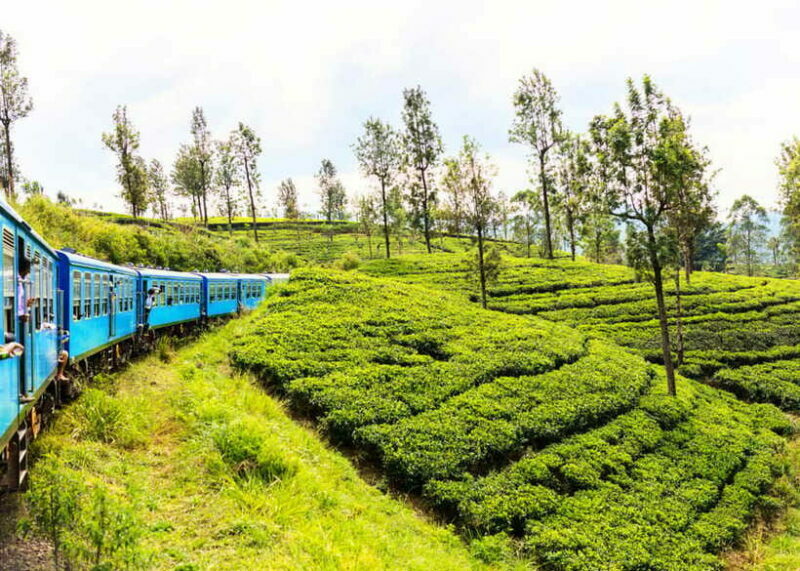 Sri Lanka Private 3-nights Tour Transport, Guide, Hotels - Final Thoughts