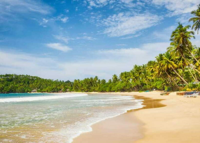 Sri Lanka Private 8-day Tour; Transport, Guide, Hotels, Food - FAQs