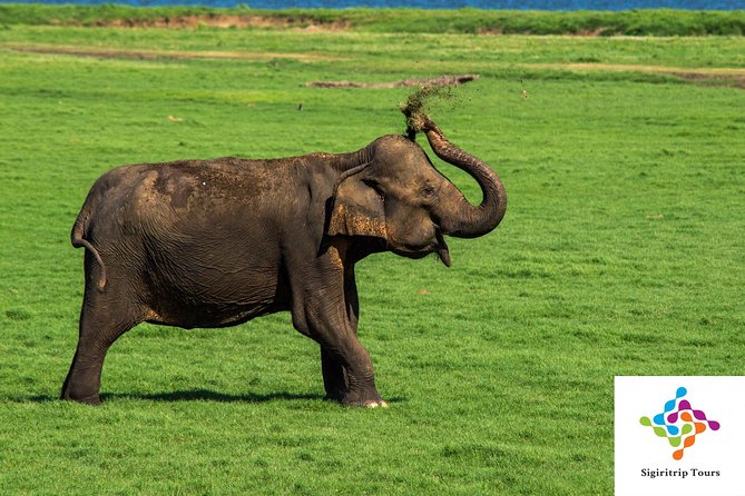 Sri Lanka Private Custom Driver Service Up To 14 Days  - Colombo - Stress-Free Booking Process
