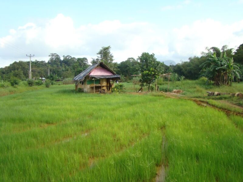Sri Lanka - Private Ratnapura Gem Tour With Industry Expert - Experience Highlights