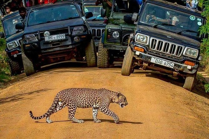 Sri Lanka Private Tour Package 9 Night 10 Day With Driver+Vehicle+Accommodations - Health and Safety