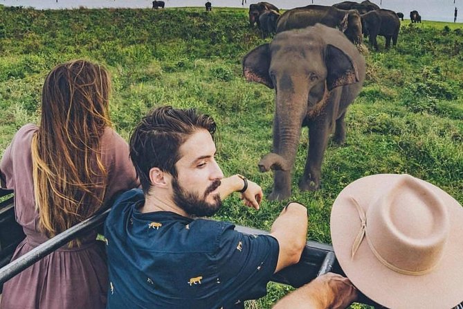 Sri Lanka Private Tour Package 9 Night 10 Day With Driver+Vehicle+Accommodations - Guest Reviews