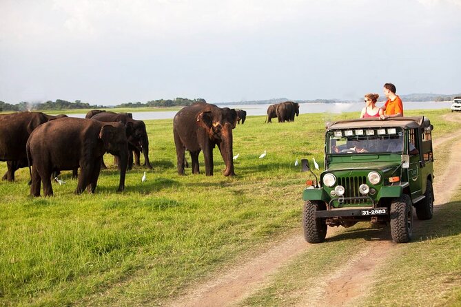Sri Lanka; Professional Chauffeur Guide With Modern Vehicles - Tour Operator