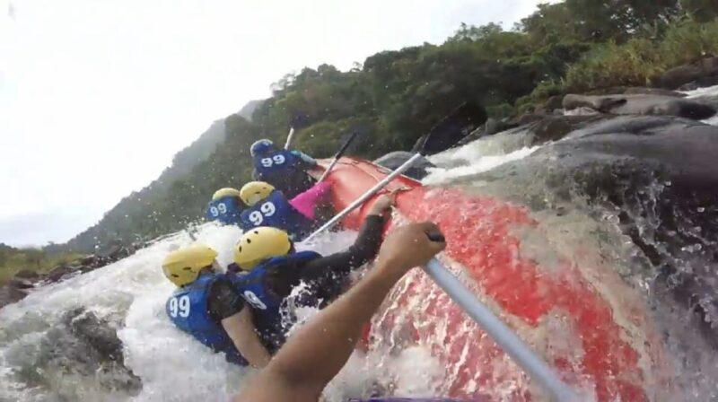 Sri Lanka Rainforest Trekking, Wildlife Safari, Water Sport - Key Points