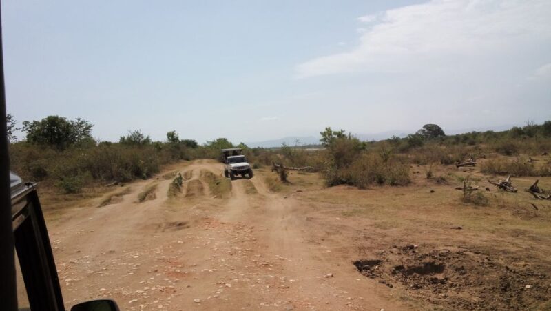 Sri Lanka Rainforest Trekking, Wildlife Safari, Water Sport - Detailed Itinerary