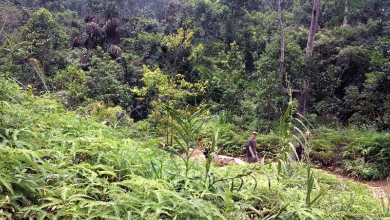 Sri Lanka Rainforest Trekking, Wildlife Safari, Water Sport - Included Amenities