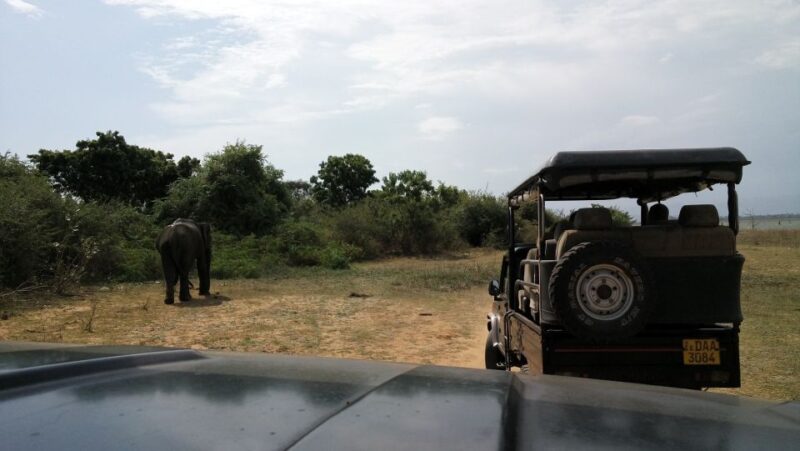 Sri Lanka Rainforest Trekking, Wildlife Safari, Water Sport - Cancellation Policy