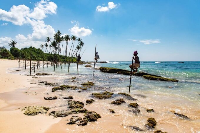 Sri Lanka Rainforest Trekking, Wildlife Safari, Water Sport - Activity Highlights