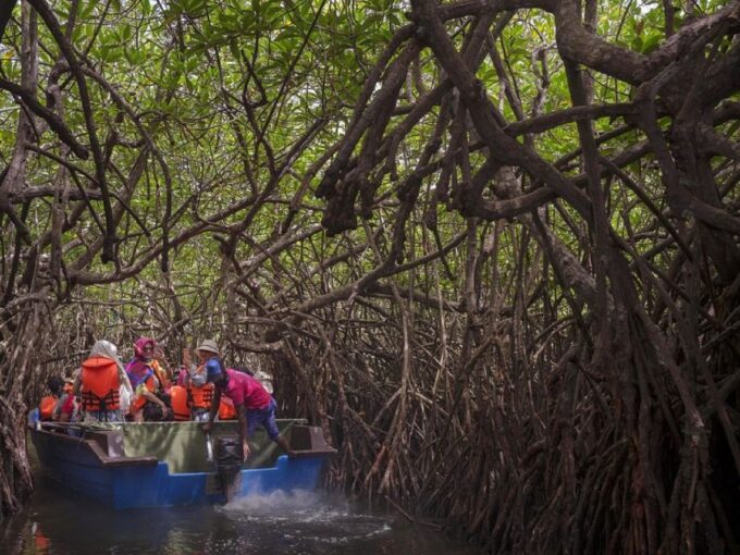 Sri Lanka Rainforest Trekking, Wildlife Safari, Water Sport - Recap