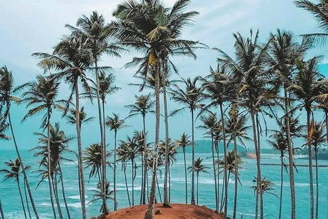 Sri Lanka Round Tour - Private Transportation
