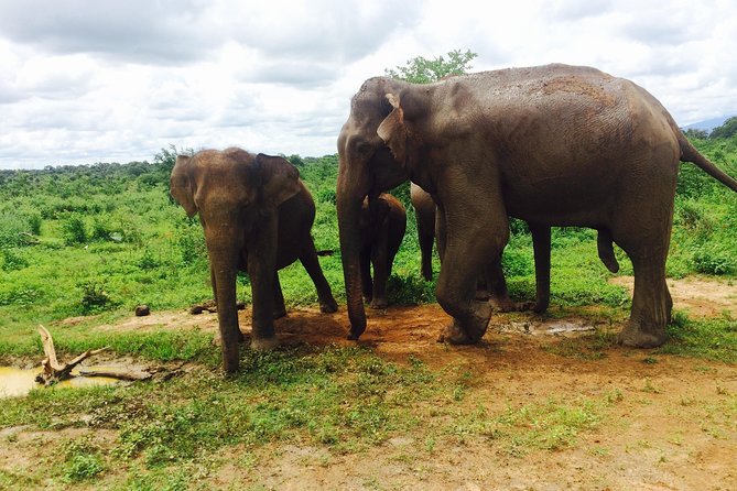 Sri Lanka Round Tour - Additional Information