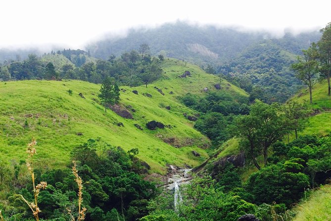 Sri Lanka Round Tour - Explore Kandy, Galle, and Nuwara Eliya