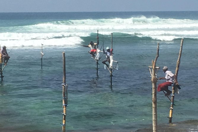 Sri Lanka Round Tour - Tour Highlights