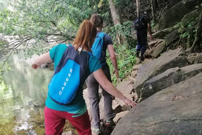 Sri Lanka Sinharaja Rain Forest Tour - Transportation and Inclusions