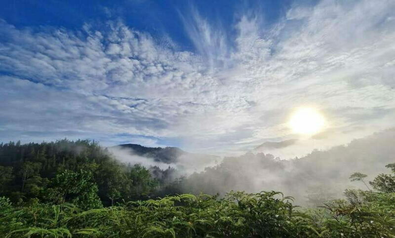 Sri Lanka : Sinharaja Rainforest Guided Trek with Pickup - Frequently Asked Questions