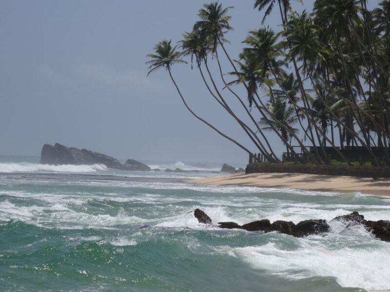 Sri Lanka South Coast Beach, Sinharaja, Udawalawe Safari - Customer Feedback