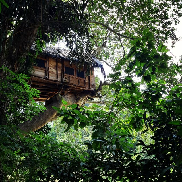 Sri Lanka Ten Days Historical Sightseeing Tour - Tea Factory, Waterfalls, and Train to Ella