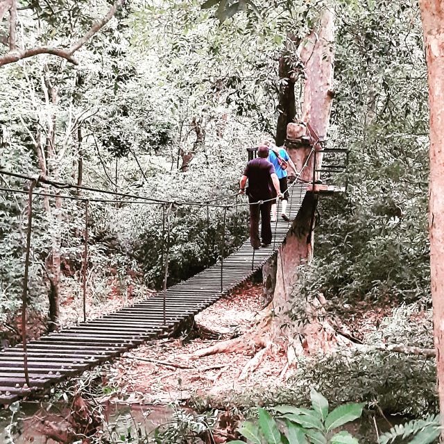Sri Lanka Ten Days Historical Sightseeing Tour - Udawalawe National Park and Mirissa Beach