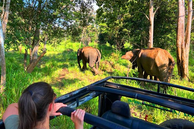 Sri Lanka Tour 06 Nights 07 Days With Hotels & Transport - Transportation and Services