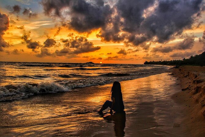 Sri Lanka Tour/6 Days+Friendly Chauffeur +Vehicle+Accommodation H/B Basis - Transportation and Accessibility