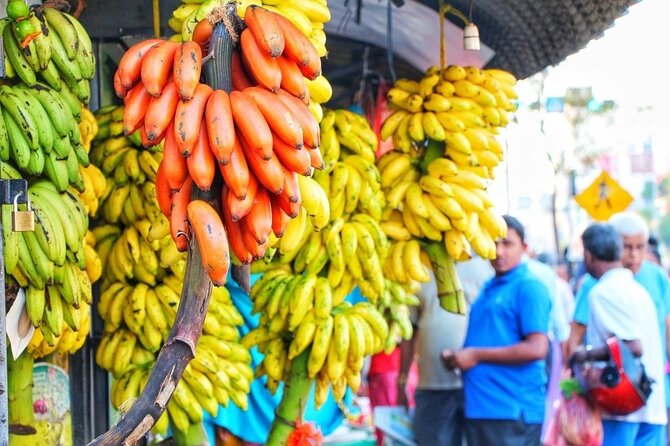 Sri Lanka Tour/6 Days+Friendly Chauffeur +Vehicle+Accommodation H/B Basis - Tour Pricing