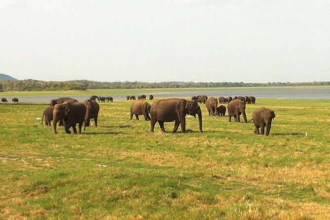 Sri Lanka Tour for 10 Days: Heritage, Culture and Beach - Tour Schedule
