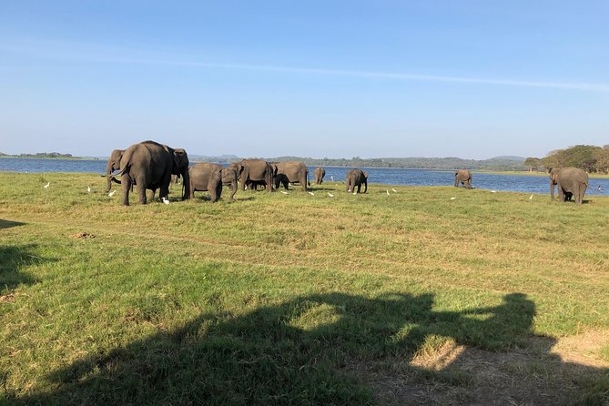 Sri Lanka Tour in 8 Days - Accessibility and Attire