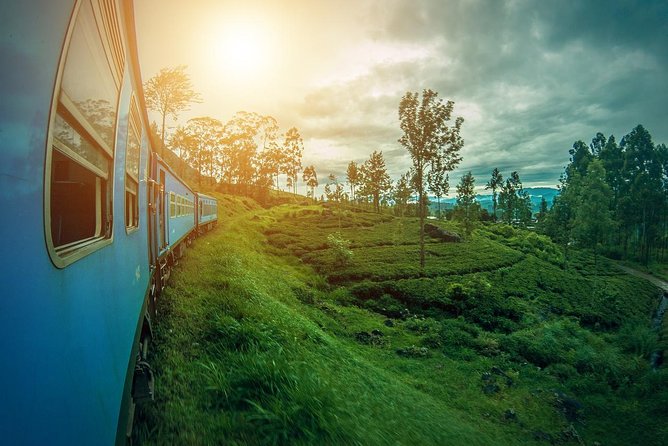 Sri Lanka Tour Package in 05 Nights 06 Days - Accommodation and Meals