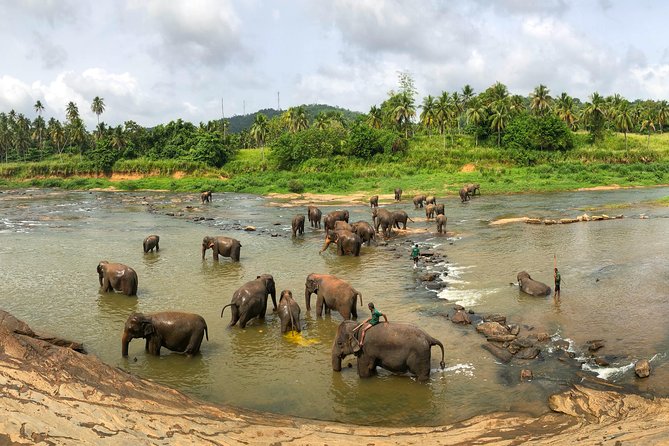 Sri Lanka Tour Package in 05 Nights 06 Days - Transportation and Accessibility