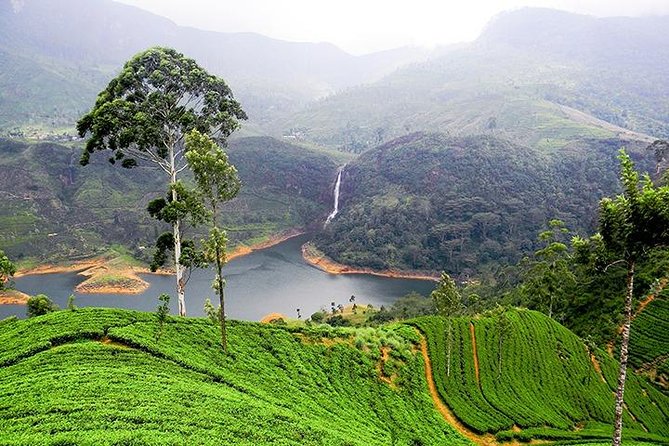 Sri Lanka Tour Packages With English Speaking Driver Guide and Car - Meeting and Pickup