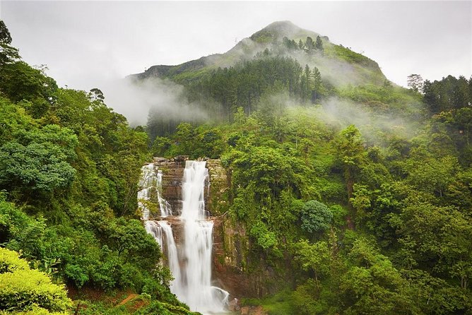 Sri Lanka Tour Packages With English Speaking Driver Guide and Car - Health and Accessibility
