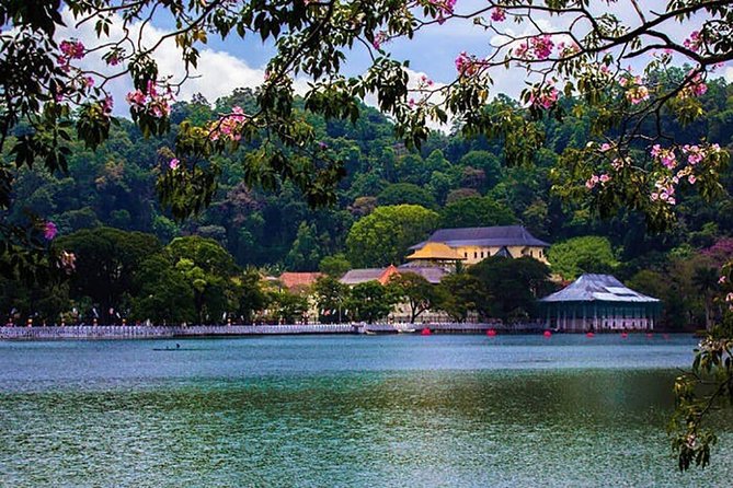 Sri Lanka Tour Packages With English Speaking Driver Guide and Car - Traveler Reviews