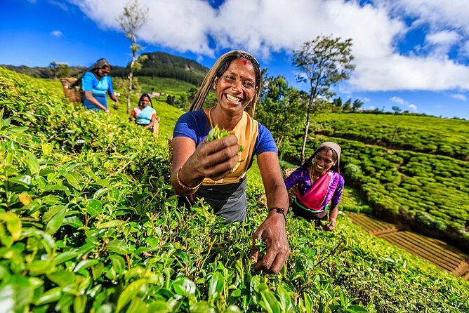 Sri Lanka Tour With Ceylon Travel Dream - Booking Details