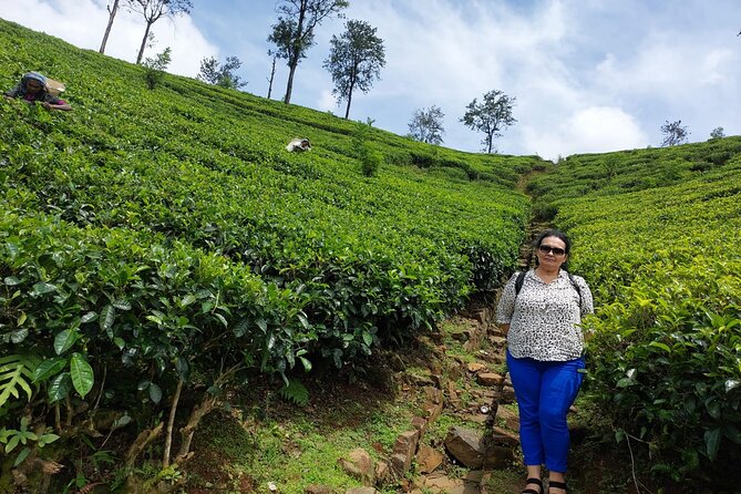Sri Lanka Week in Paradise - Ella and Yala National Park
