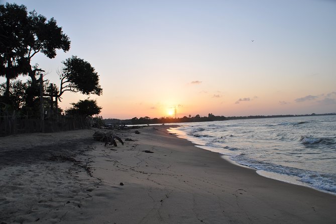 Sri Lankan Tourist Driver With Great Local )Knowledge All Over the Country! - Included Services and Features