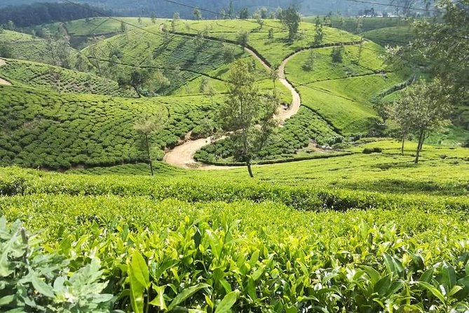 Sri Lankan Tourist Driver With Great Local )Knowledge All Over the Country! - Additional Important Information