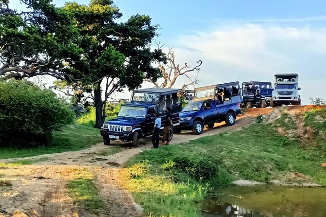 Sri Lankan Ultimate Tour,H/B Accommodations,SLTDA Registerd. - Accommodation and Meals