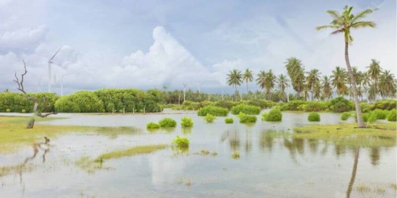 Sri Lankas Spectacular 7-Day Hideaway Experience - Culinary Delights